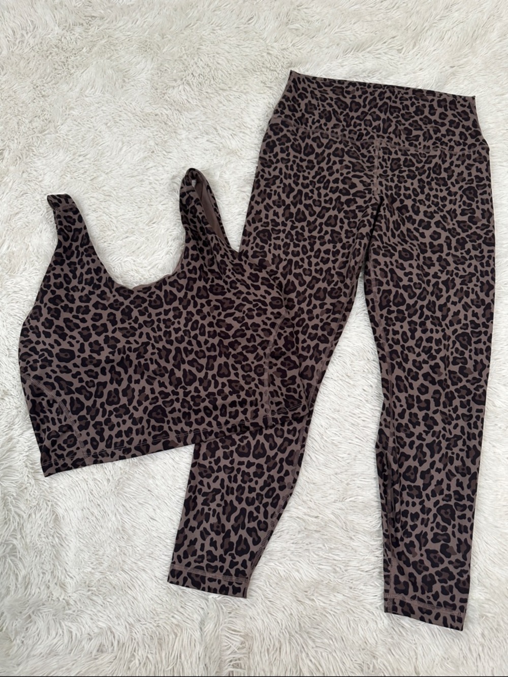 🪸 Velocity Legging & Crop Top Set Size XL